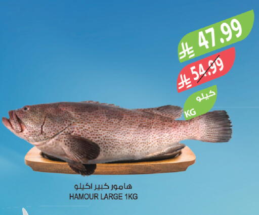 available at المزرعة in مملكة العربية السعودية, السعودية, سعودية - الخبر‎