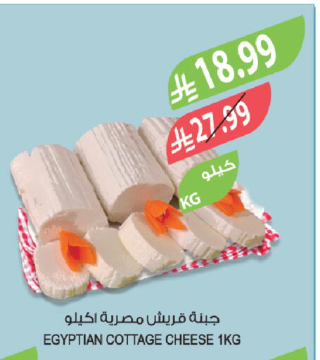 available at المزرعة in مملكة العربية السعودية, السعودية, سعودية - الخبر‎