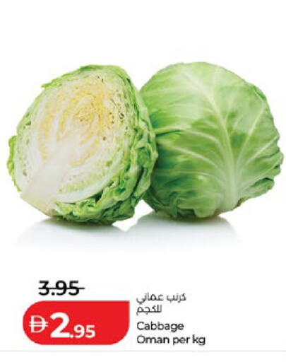 Cabbage from Oman available at لولو هايبرماركت in الإمارات العربية المتحدة , الامارات - أبو ظبي