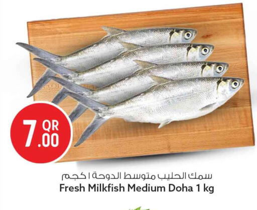 available at سفاري هايبر ماركت in قطر - الدوحة