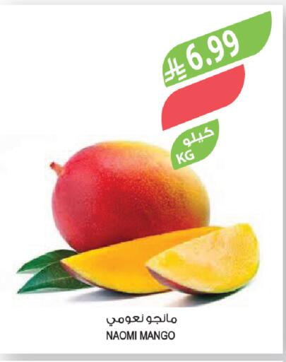 Mango available at المزرعة in مملكة العربية السعودية, السعودية, سعودية - الخرج