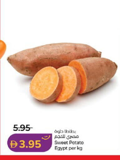 Sweet Potato from Egypt available at لولو هايبرماركت in الإمارات العربية المتحدة , الامارات - أبو ظبي