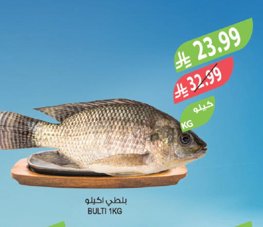 available at المزرعة in مملكة العربية السعودية, السعودية, سعودية - الخبر‎