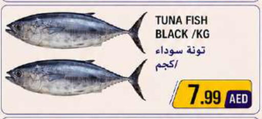 available at  روابي ماركت عجمان in الإمارات العربية المتحدة , الامارات - الشارقة / عجمان