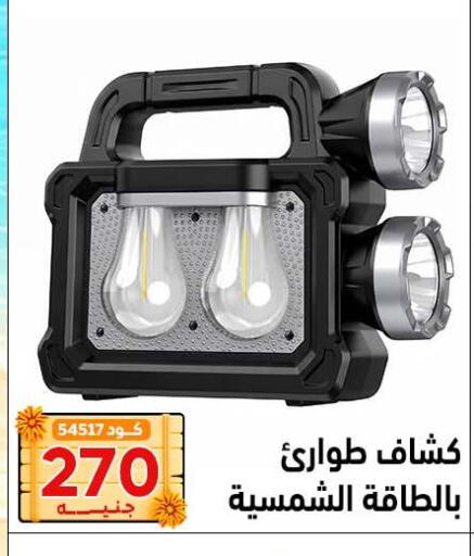 available at Center Elzelzal in Egypt - Cairo