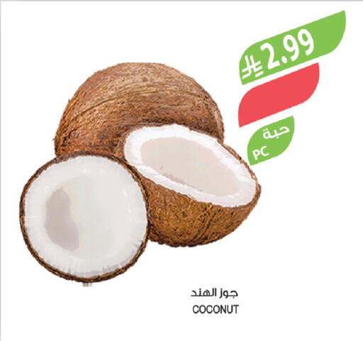 Coconut available at المزرعة in مملكة العربية السعودية, السعودية, سعودية - تبوك