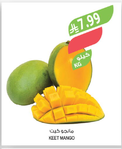 Mango available at المزرعة in مملكة العربية السعودية, السعودية, سعودية - الخرج