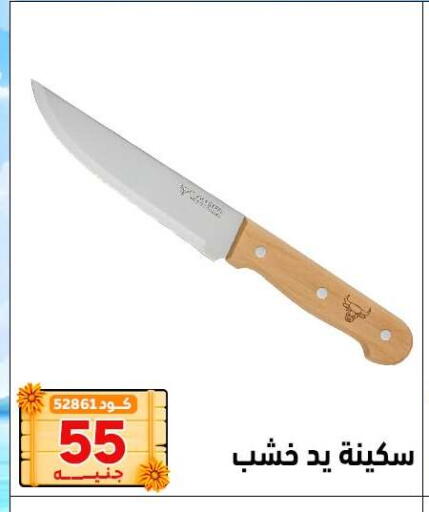 available at Center Elzelzal in Egypt - Cairo