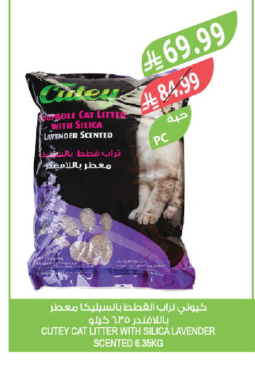 available at المزرعة in مملكة العربية السعودية, السعودية, سعودية - الخرج