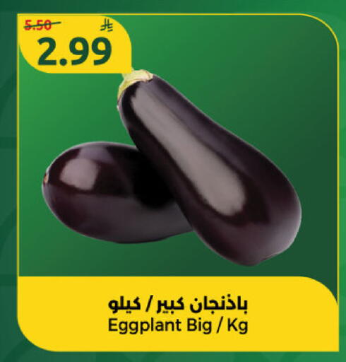 Eggplant available at Dana Mart in KSA, Saudi Arabia, Saudi - Riyadh