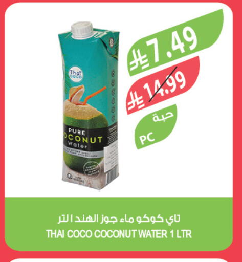 Coconut available at المزرعة in مملكة العربية السعودية, السعودية, سعودية - الخرج