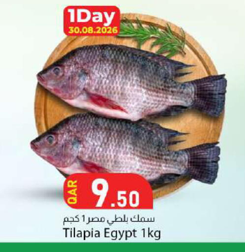 available at دانا ماركت in قطر - الوكرة