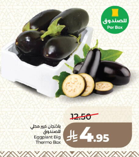 Eggplant available at LULU Hypermarket in KSA, Saudi Arabia, Saudi - Medina