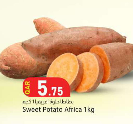 Sweet Potato available at دانا ماركت in قطر - الوكرة