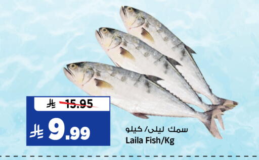 available at المدينة هايبرماركت in مملكة العربية السعودية, السعودية, سعودية - الرياض