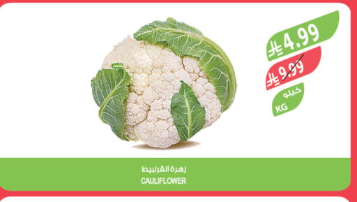 Cauliflower available at المزرعة in مملكة العربية السعودية, السعودية, سعودية - سكاكا