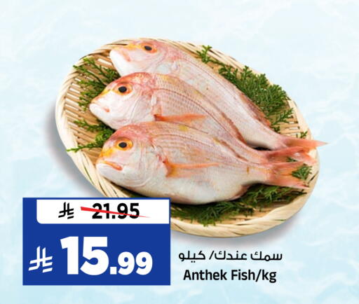available at المدينة هايبرماركت in مملكة العربية السعودية, السعودية, سعودية - الرياض