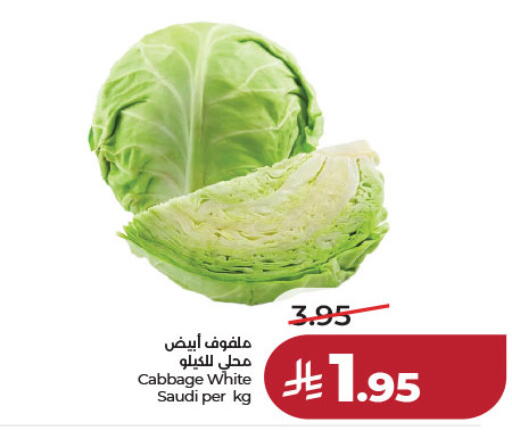 Cabbage from Saudi Arabia available at LULU Hypermarket in KSA, Saudi Arabia, Saudi - Riyadh