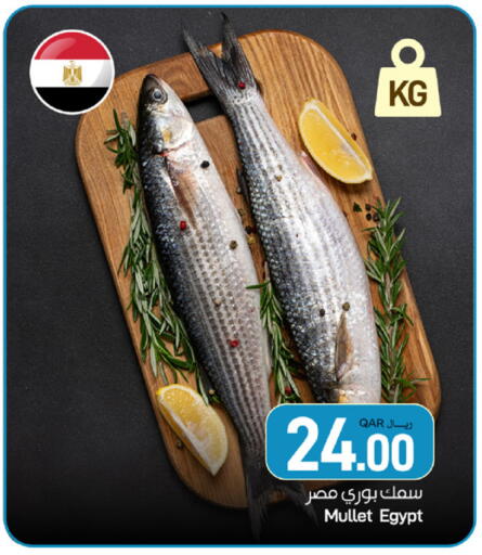 available at ســبــار in قطر - الخور