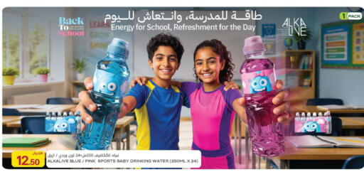 available at Al Meera in Qatar - Al Rayyan