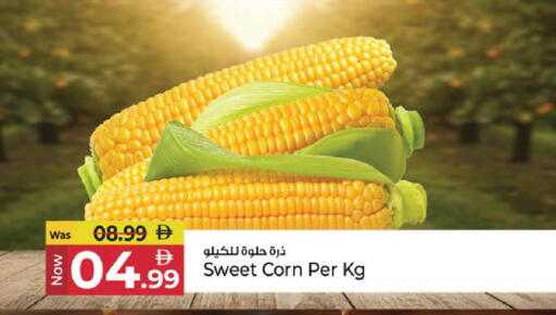 available at كنز هايبرماركت in الإمارات العربية المتحدة , الامارات - الشارقة / عجمان