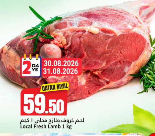 available at دانة هايبرماركت in قطر - الوكرة