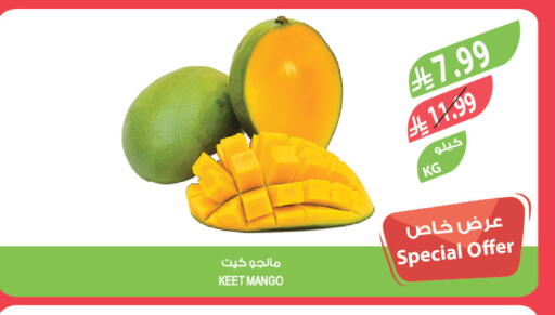 Mango available at المزرعة in مملكة العربية السعودية, السعودية, سعودية - سكاكا