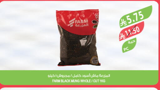 available at المزرعة in مملكة العربية السعودية, السعودية, سعودية - سكاكا