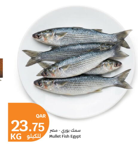 available at سيتي هايبرماركت in قطر - الوكرة