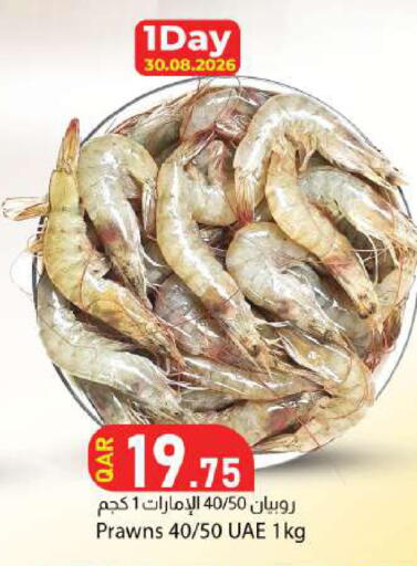 available at دانا ماركت in قطر - الوكرة
