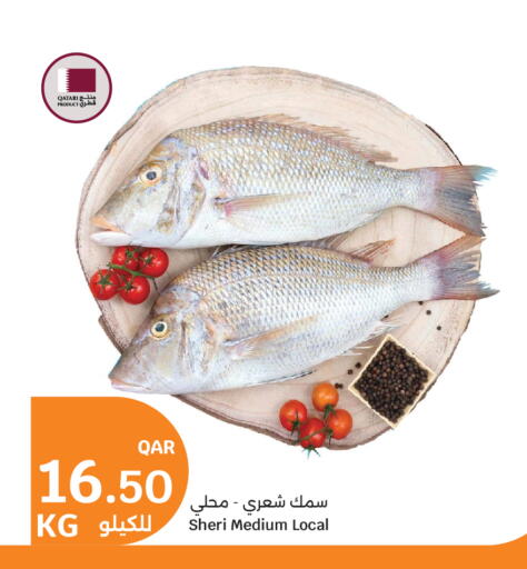 available at City Hypermarket in Qatar - Al Rayyan