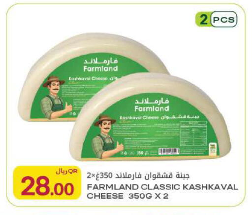 available at Al Meera in Qatar - Al Rayyan