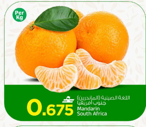 Mandarin from South Africa available at MARK & SAVE in Oman - Muscat