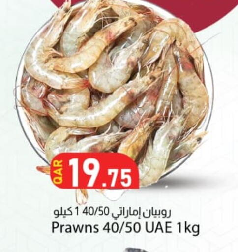 available at دانا ماركت in قطر - الوكرة
