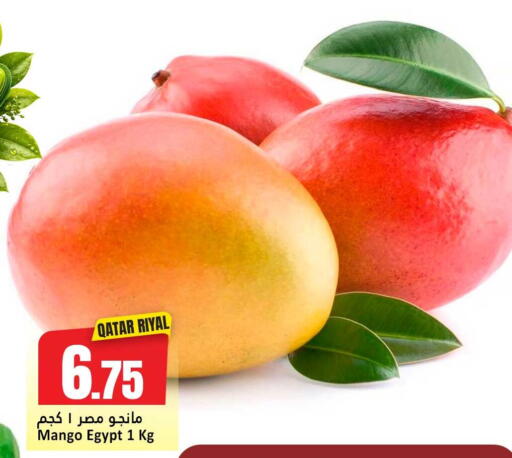 Mango from Qatar Egypt available at دانة هايبرماركت in قطر - الخور