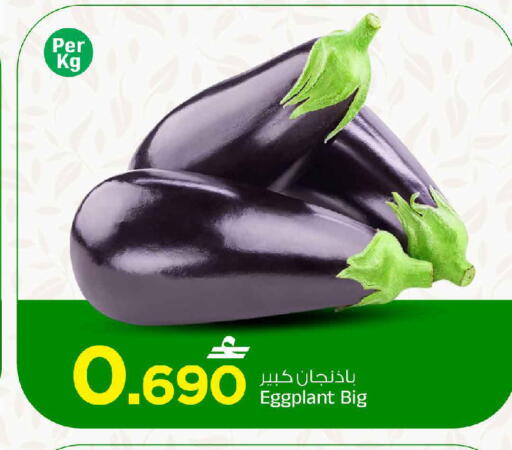 Eggplant available at MARK & SAVE in Oman - Muscat