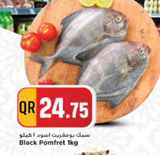 available at مرزا هايبرماركت in قطر - الخور