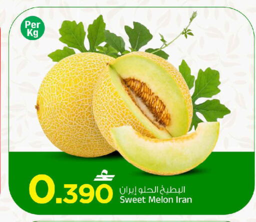 Melon from Iran available at MARK & SAVE in Oman - Muscat