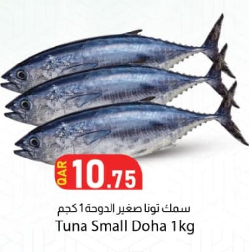 available at دانا ماركت in قطر - الوكرة