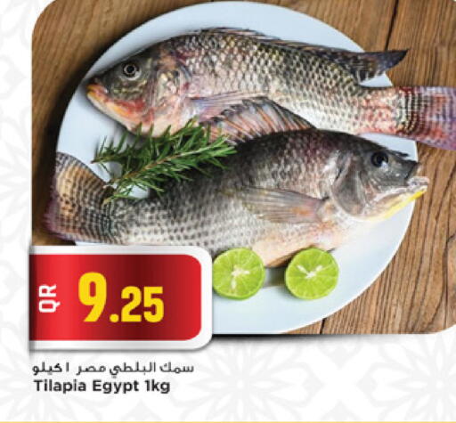 available at مرزا هايبرماركت in قطر - الوكرة