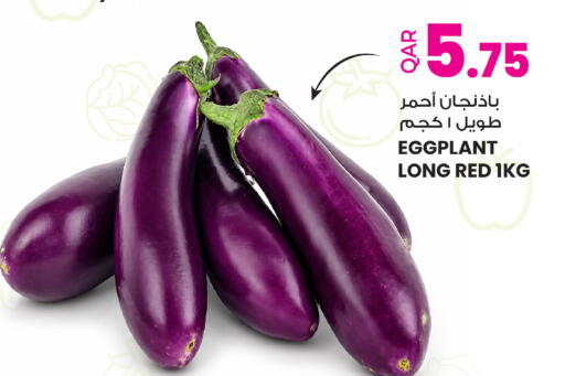 Eggplant available at Ansar Gallery in Qatar - Umm Salal