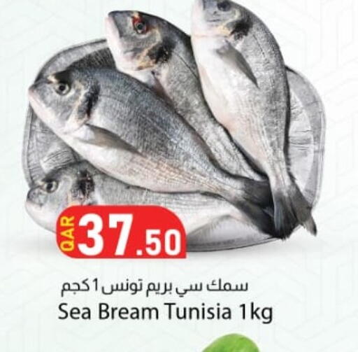 available at دانا ماركت in قطر - الوكرة