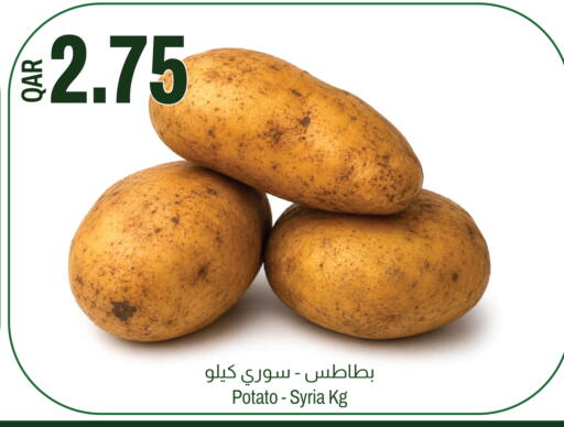 Potato from Syria available at Aswaq Al Malaki Fresh in Qatar - Al Khor