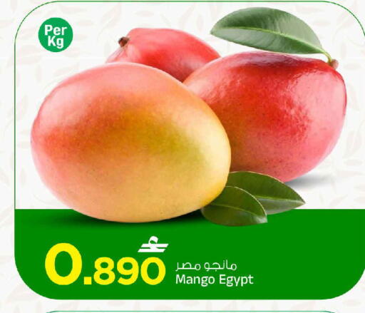 Mango from Egypt available at MARK & SAVE in Oman - Muscat