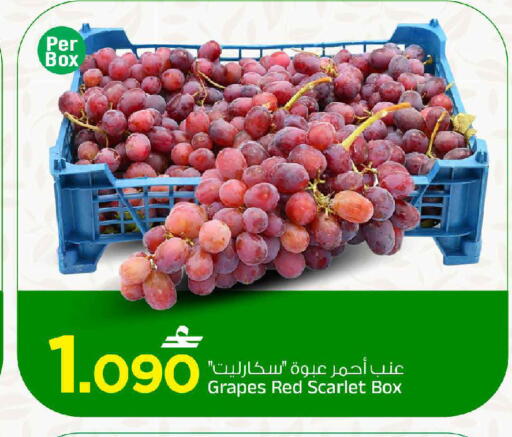 Grapes available at MARK & SAVE in Oman - Muscat