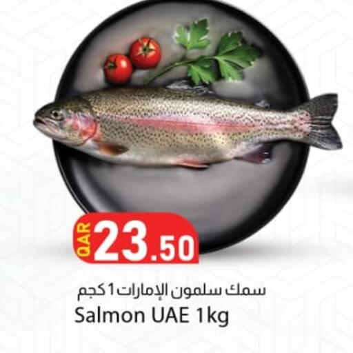 available at دانا ماركت in قطر - الوكرة