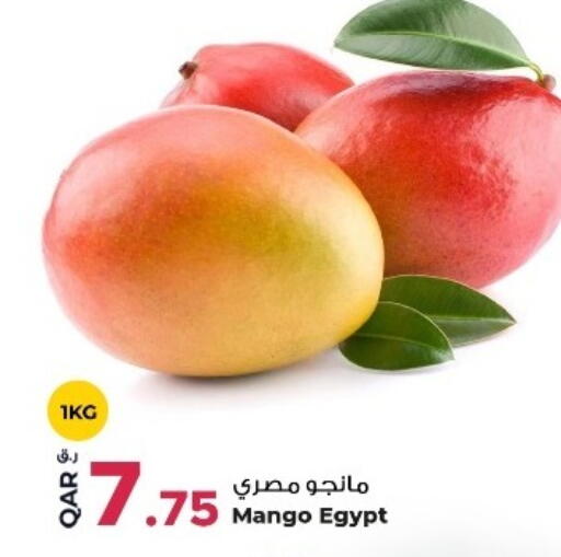 Mango from Egypt available at روابي هايبرماركت in قطر - الخور
