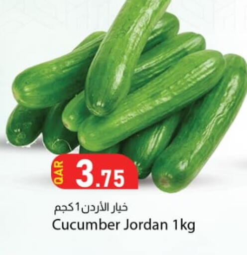 Cucumber from Jordan available at دانا ماركت in قطر - الوكرة