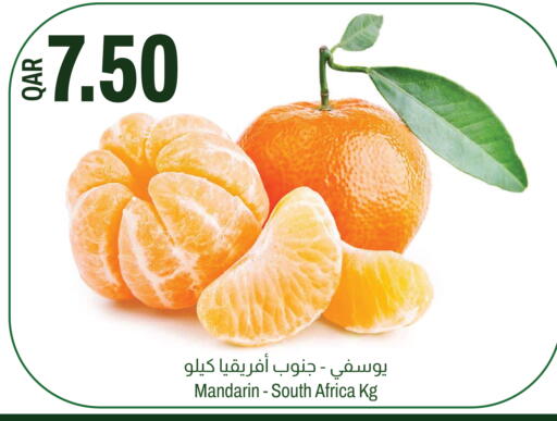 Mandarin from South Africa available at Aswaq Al Malaki Fresh in Qatar - Al Khor