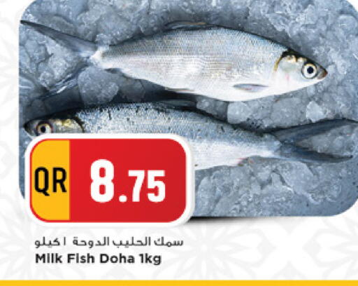 available at مرزا هايبرماركت in قطر - الخور